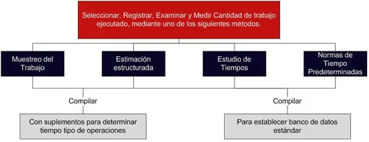 Medición del trabajo