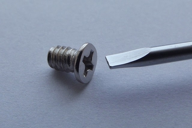 犬の乳歯が抜けない:原因と対処法