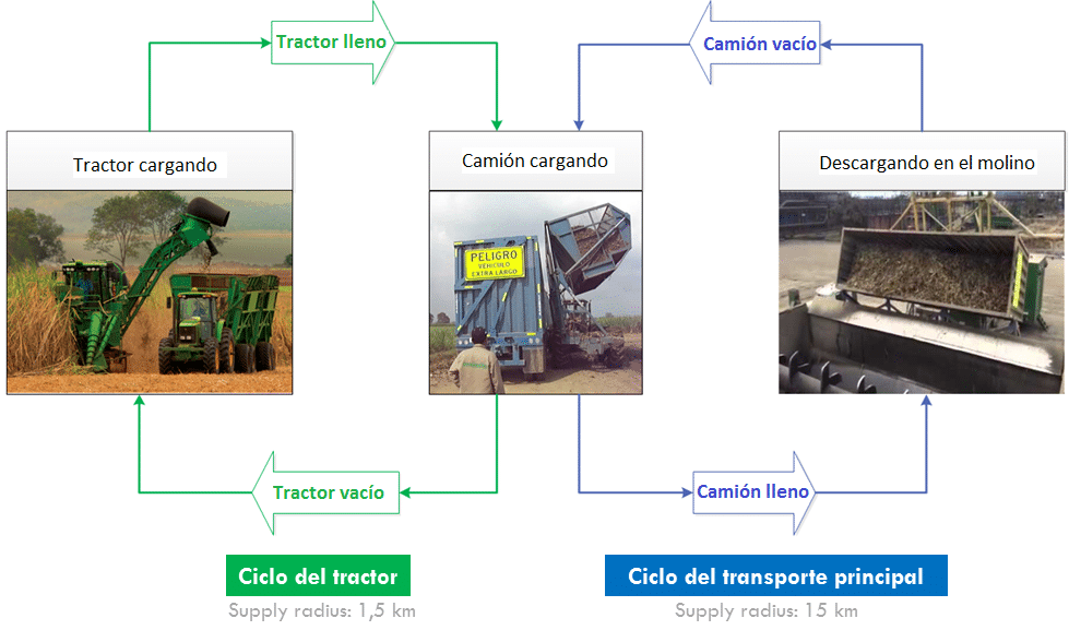 Ciclos cosecha